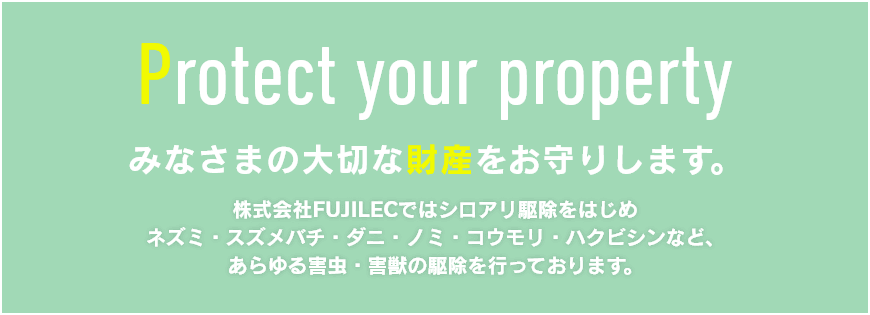 株式会社FUJILECではシロアリ駆除をはじめ、ネズミ・スズメバチ・ダニ・ノミ・コウモリ・ハクビシンなど、あらゆる害虫・害獣の駆除を行っております。